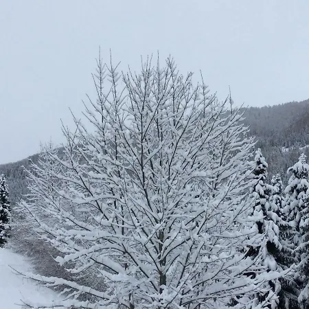 Haus Zirkids * Bad Kleinkirchheim